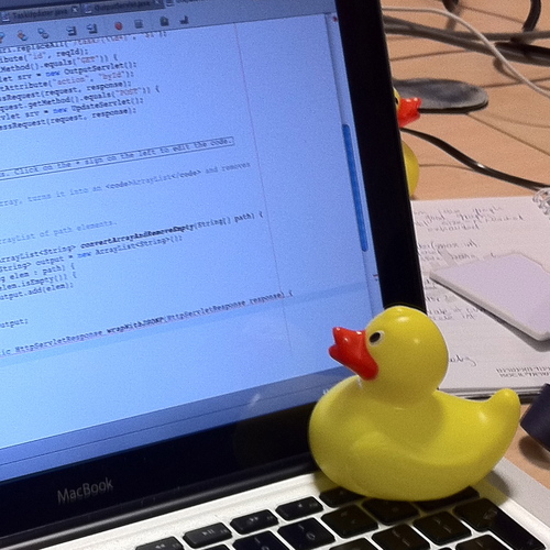 A rubber duck assisting with debugging